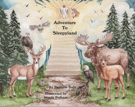 ADVENTURE TO SLEEPYLAND By Paulette Dahl, Illustrated by Wendy Pulham
