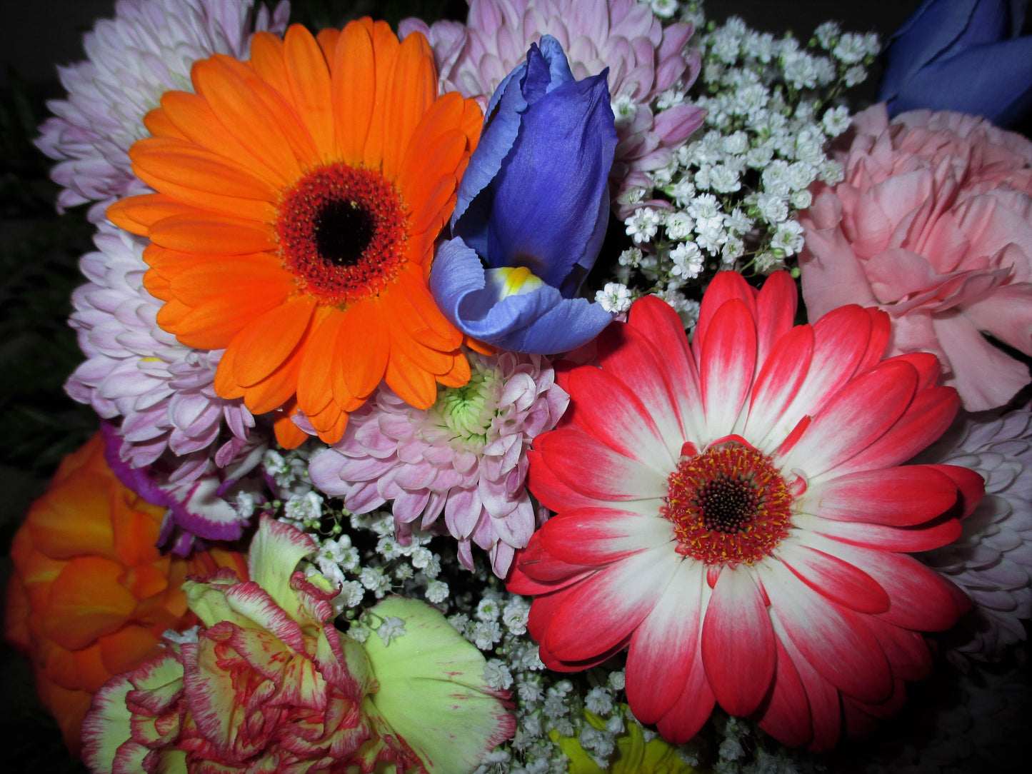 "Flower Power" Boxed Set of 8 Assorted Blank Greeting Cards with Envelopes